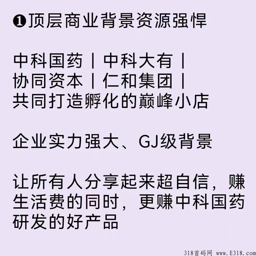 巅峰小店，低成本高效率、让创业变得更加简单 人人可为！