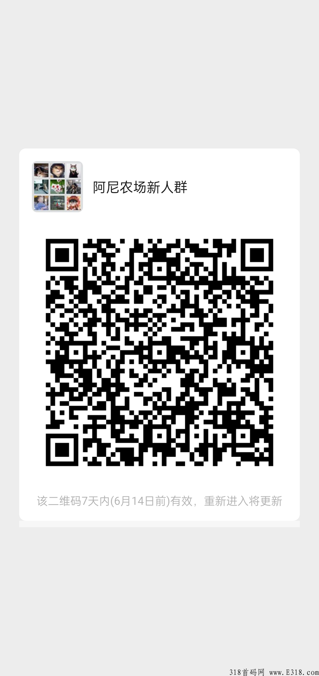阿尼农场，不占时间不占地，不看广告不费事