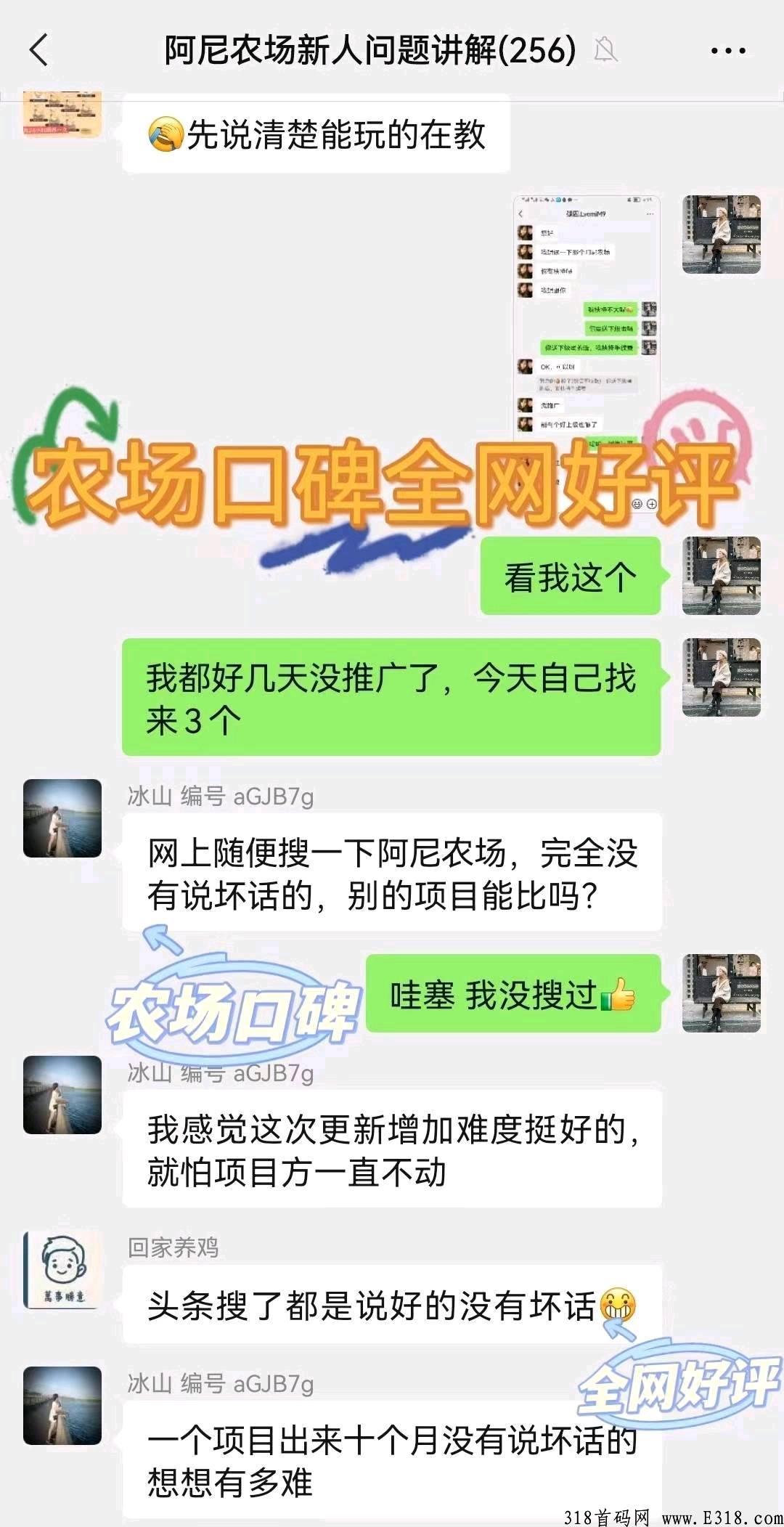 阿尼农场，大力扶持团队长