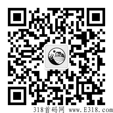 盒新盒天下，王牌项目，开放前期，适合团队及实力个人去做