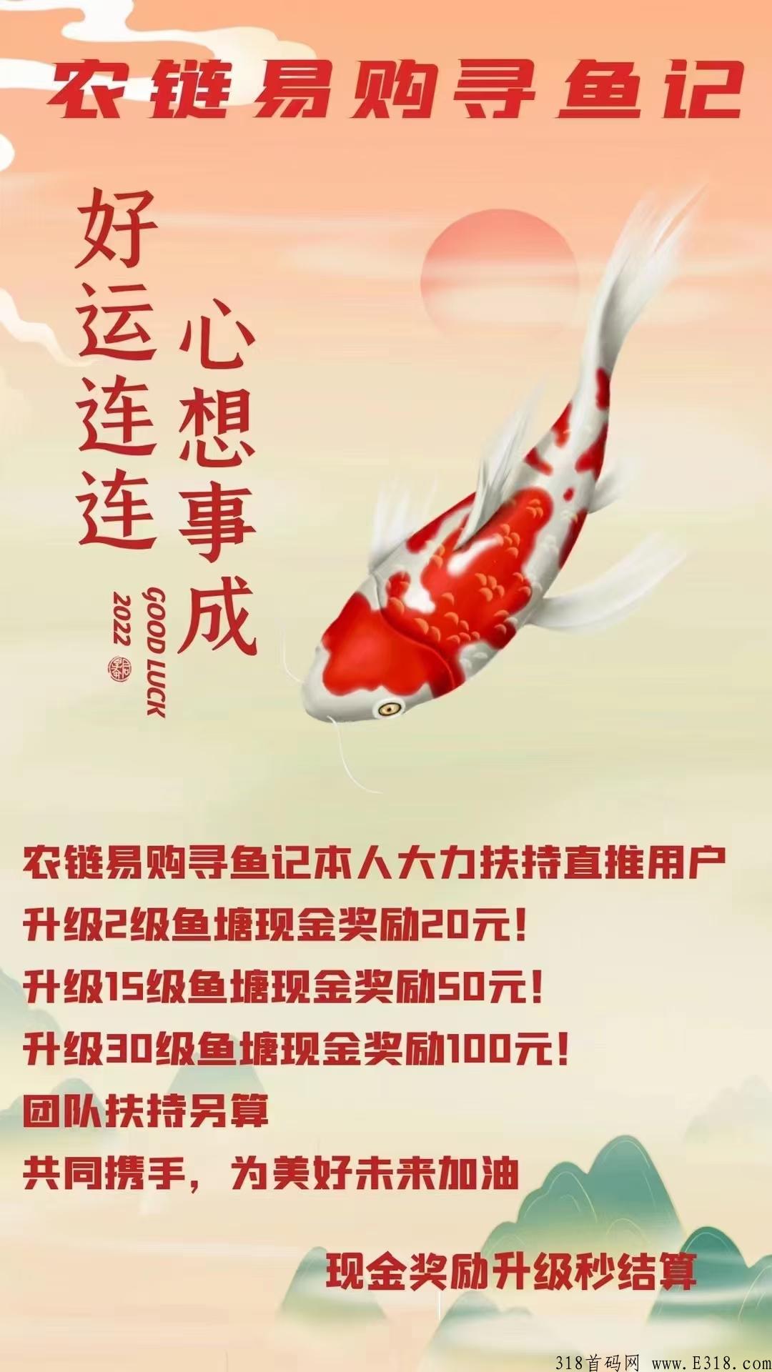 寻鱼记，一直稳定