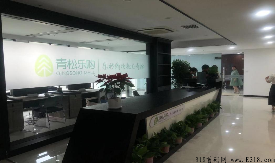 青松乐购，全新首码，大平台实物托底，实体公司支持考察