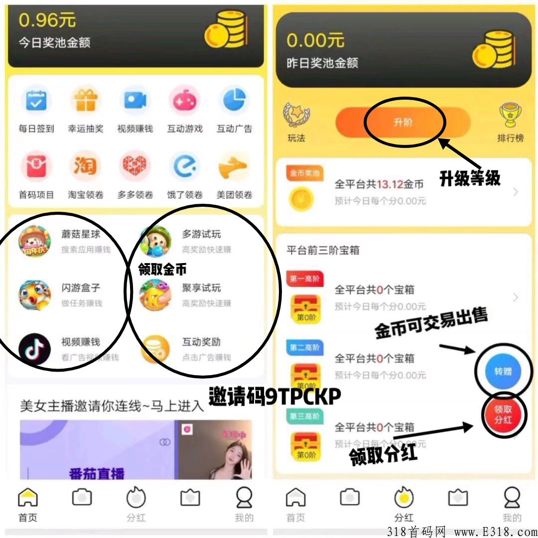 首码米玩，每天自动分奖励，等级越高分的越多，可转赠