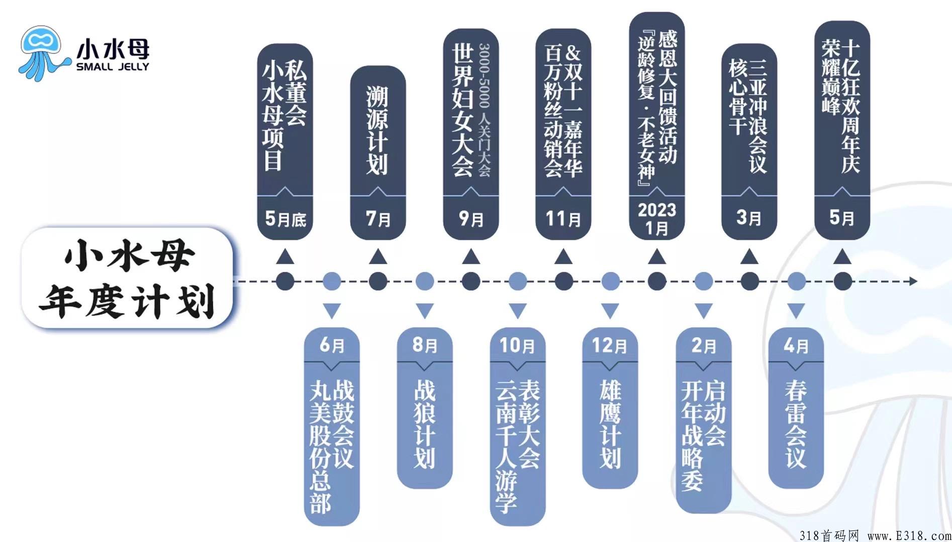 水母博士六大优势