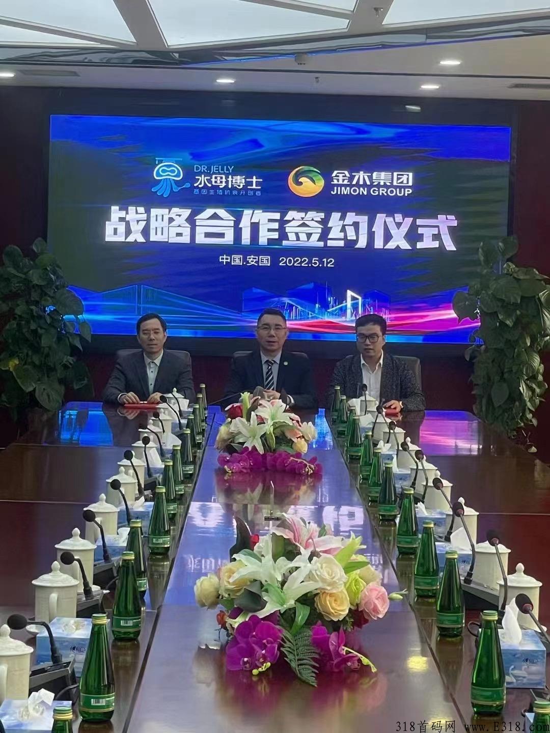 水母博士是什么?怎么代理? 水母博士是什么?怎么代理?