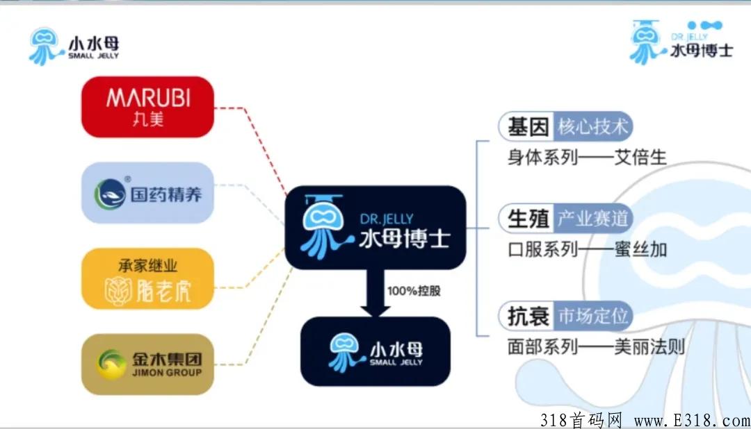 水母博士怎么样？是创业好选择吗？