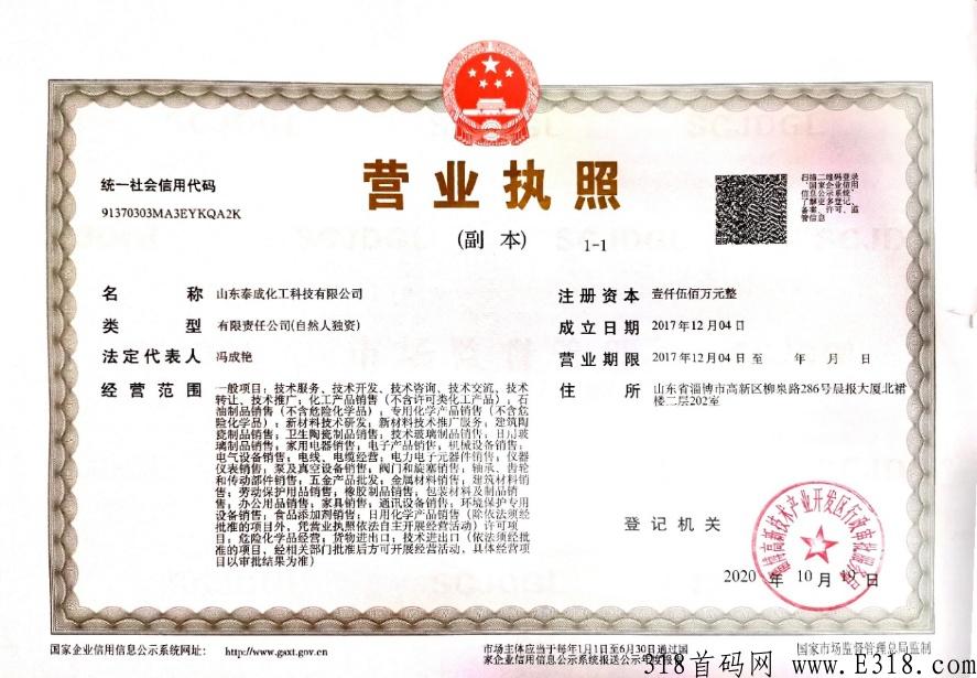 泰成数藏，扬帆起航