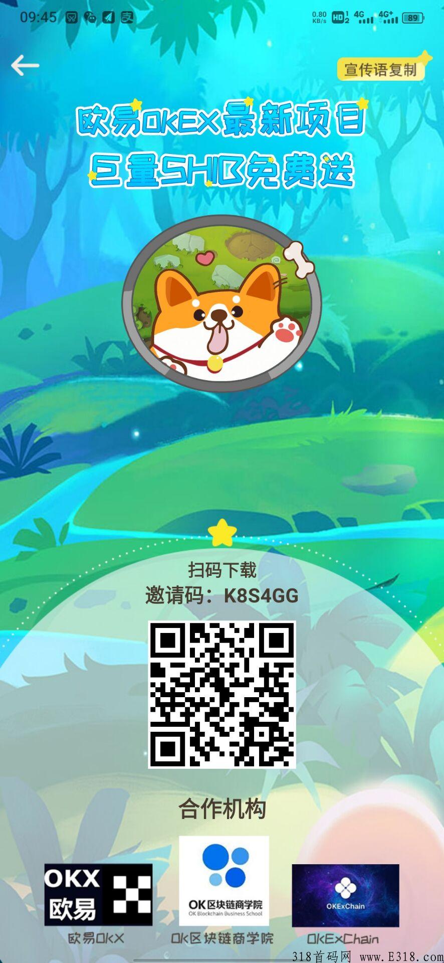 【今日首码】宝贝狗，正规平台
