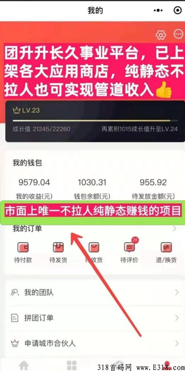 团生生，不实名，送团队