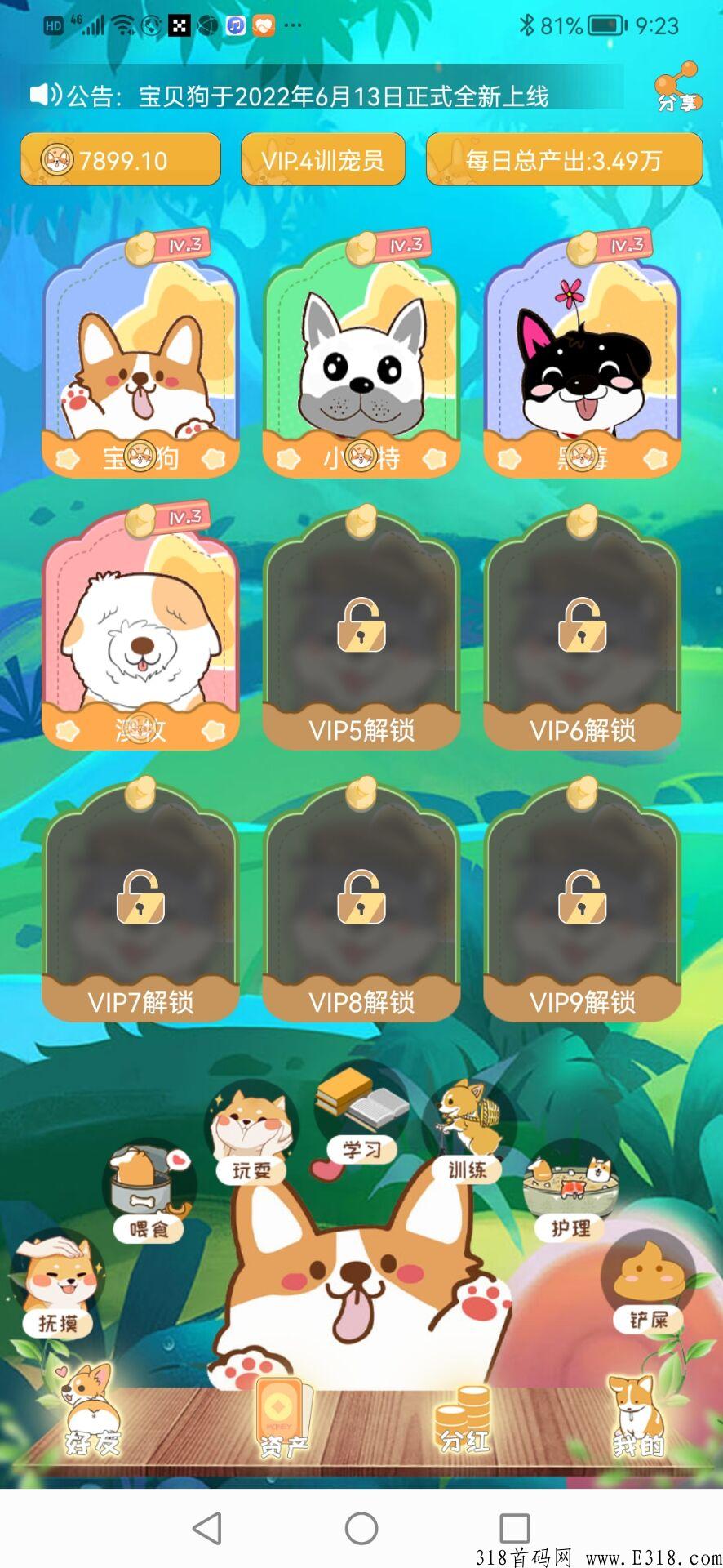 宝贝狗，邮箱注册，不实名