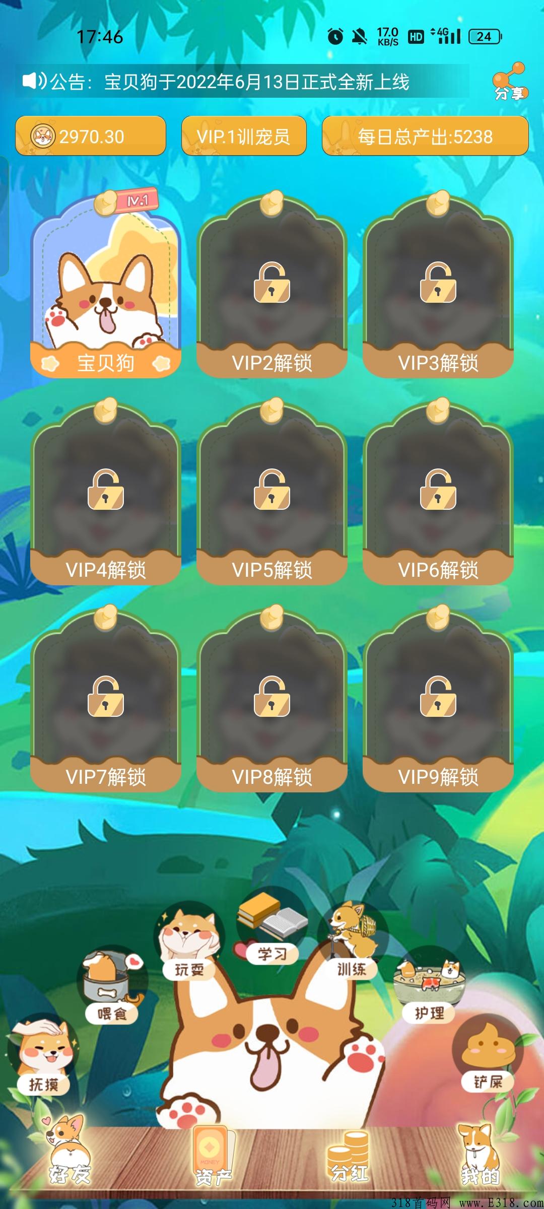 宝贝狗app，首码项目