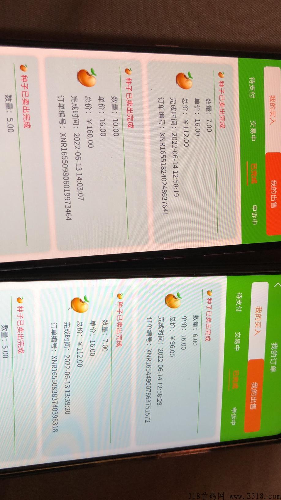新农人，首码之王，不用看广告