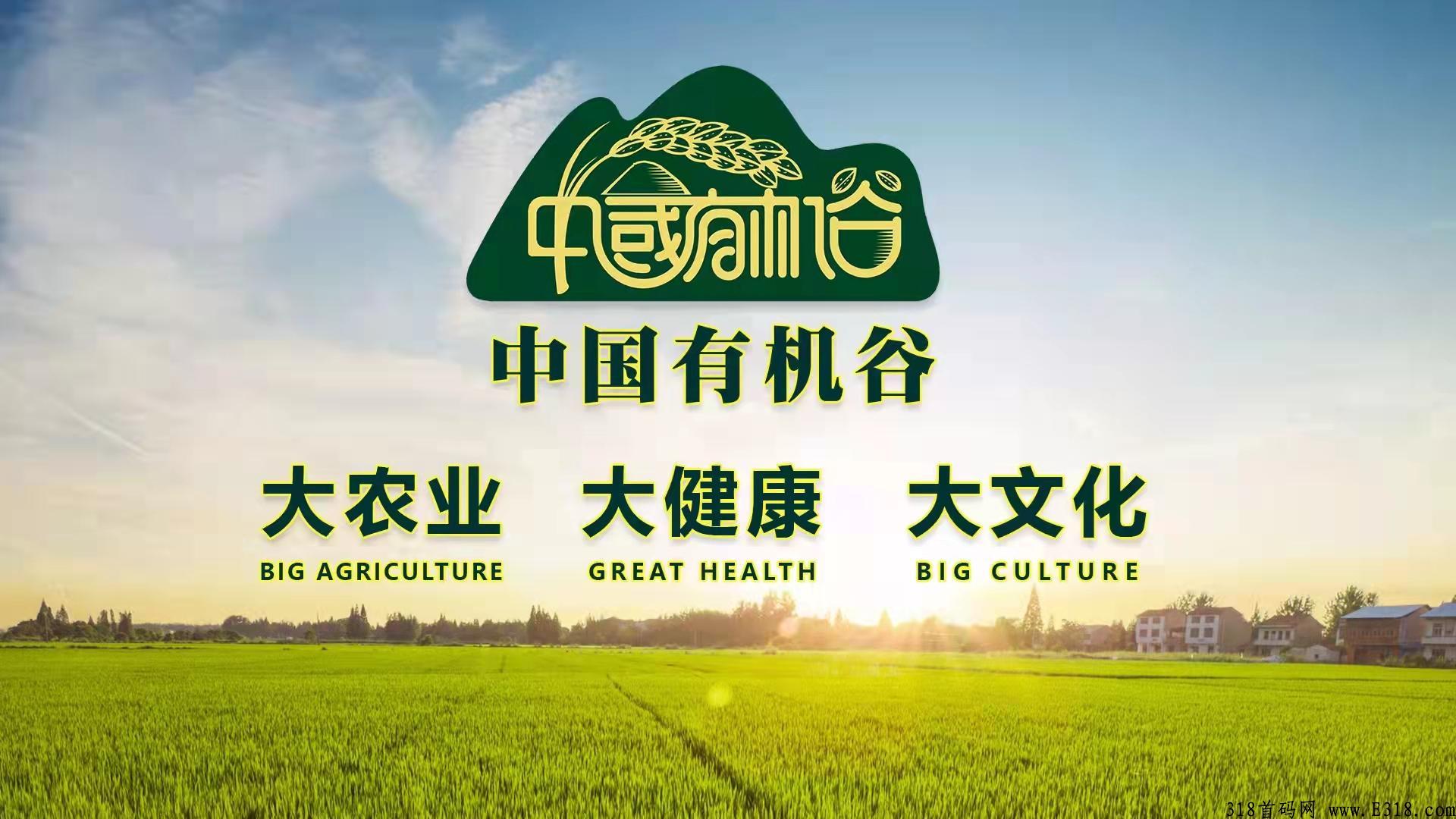 中国有机谷，王炸扫一扫上线