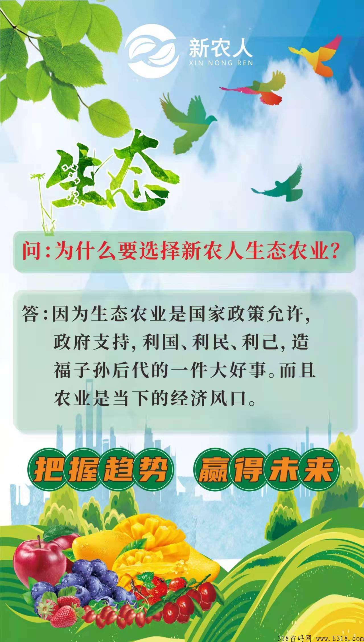 新农人注册有扶持，复投有奖励
