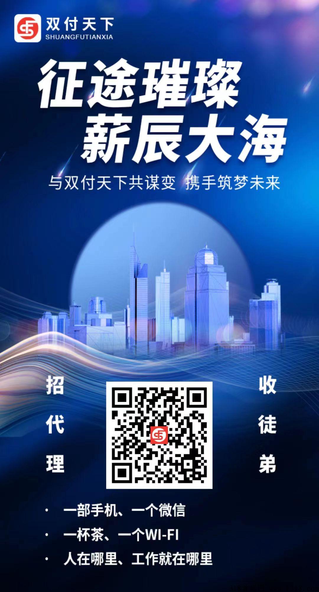 双付天下费率多少？最新政策解读！