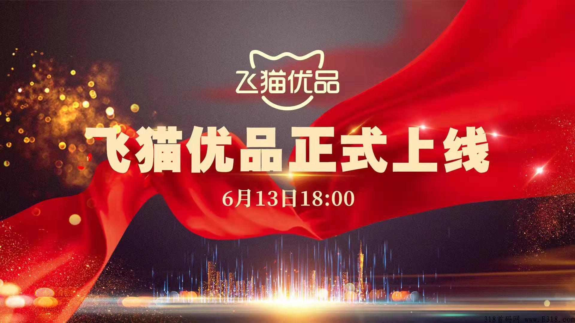 飞猫优品首码，坚持每天看2分钟短视频，就有收益