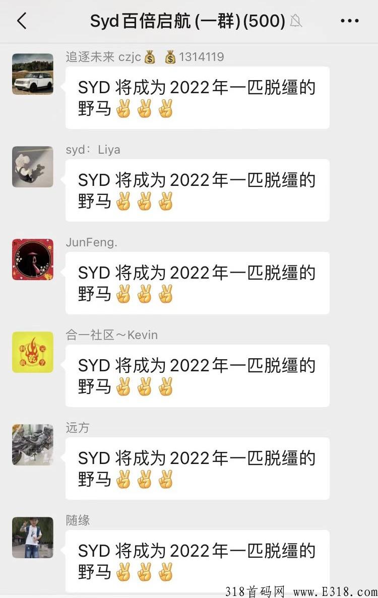 SafetyDAO，SYD，下一个百亿体量DEFI王者！