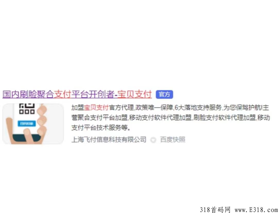 宝贝支付招募一级代理，管道收益，永久分润