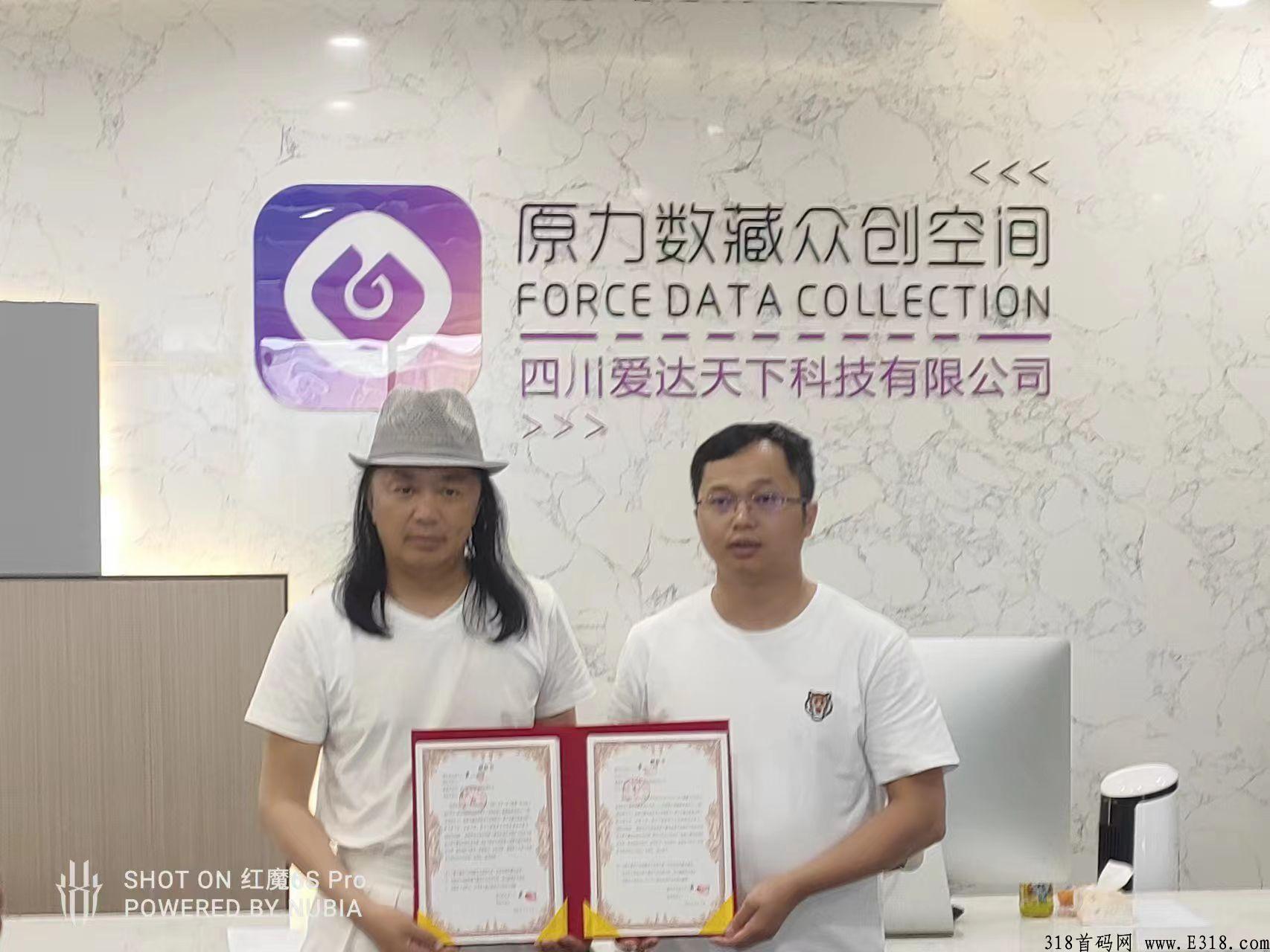 原力数藏首码来袭可静态可团队，静态+动态收益，自行选择