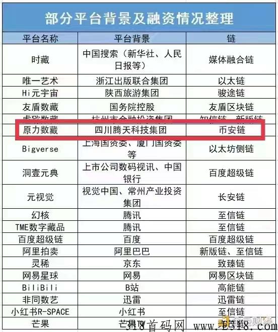 原力数藏，即将起飞
