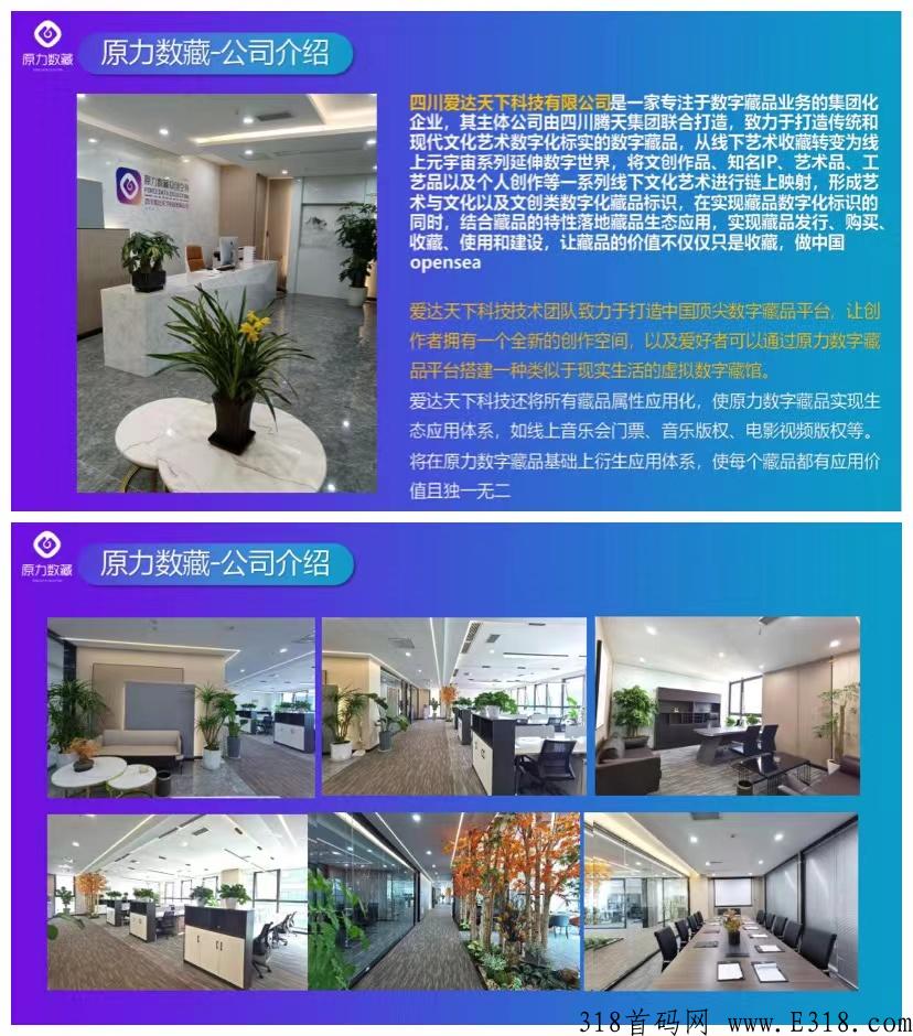 原力数藏，即将起飞