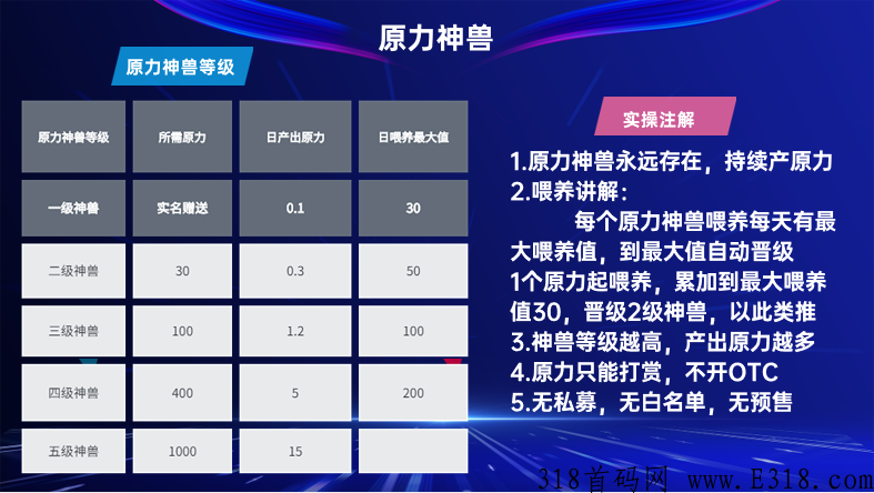 原力数藏，即将起飞