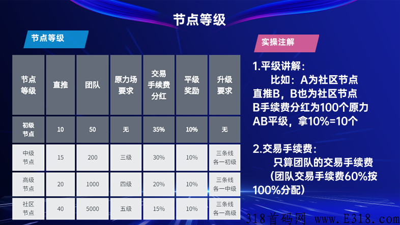 原力数藏，即将起飞