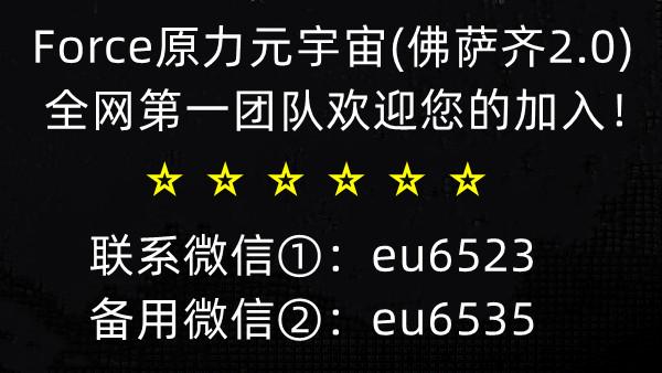 MetaForce佛萨奇，一手资讯对接领导人