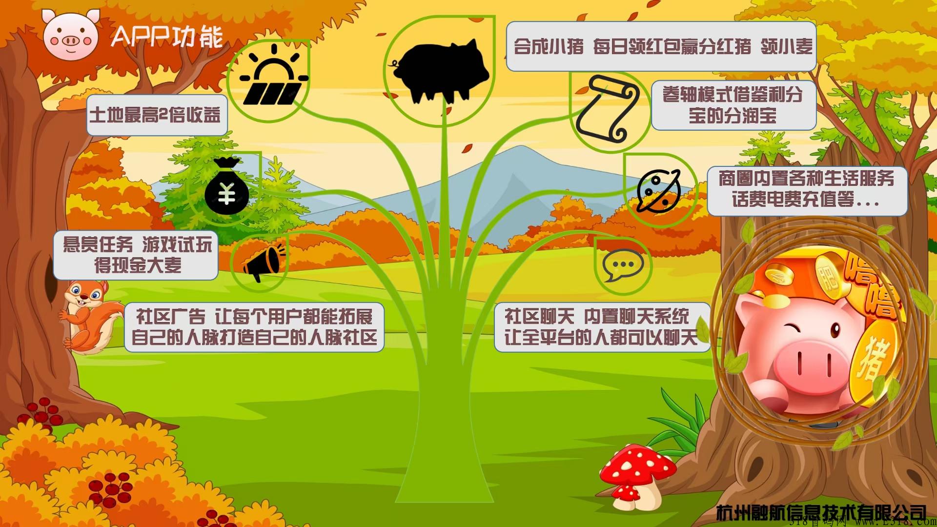 噜噜小肥猪首码项目教你如何赚钱