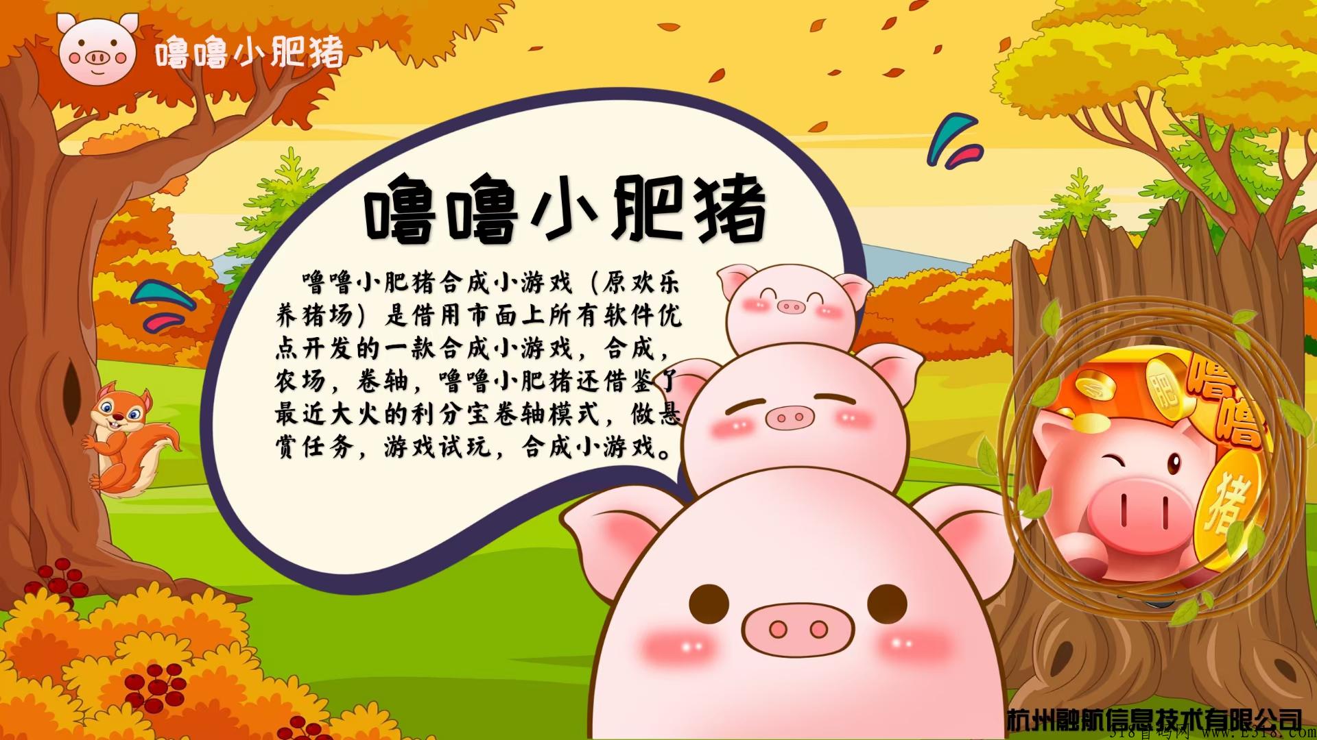 噜噜小肥猪首码项目教你如何赚钱