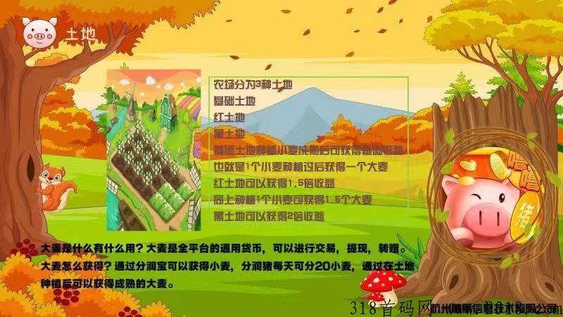 噜噜小肥猪