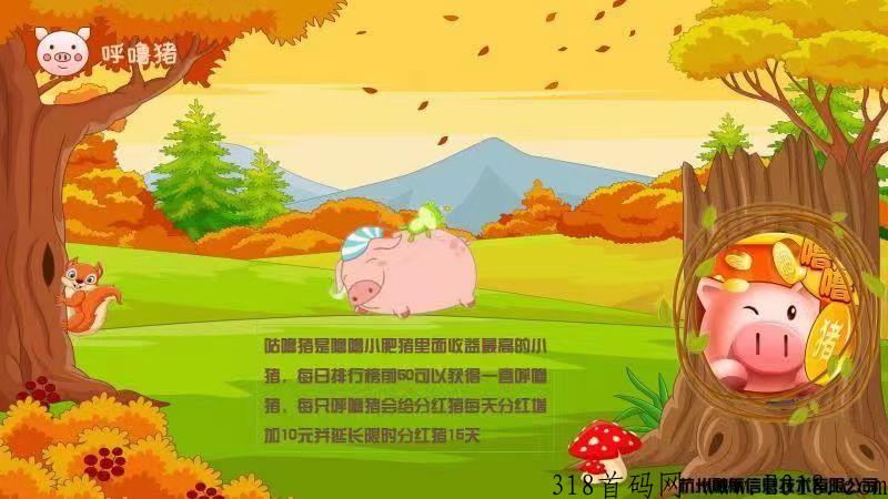 噜噜小肥猪
