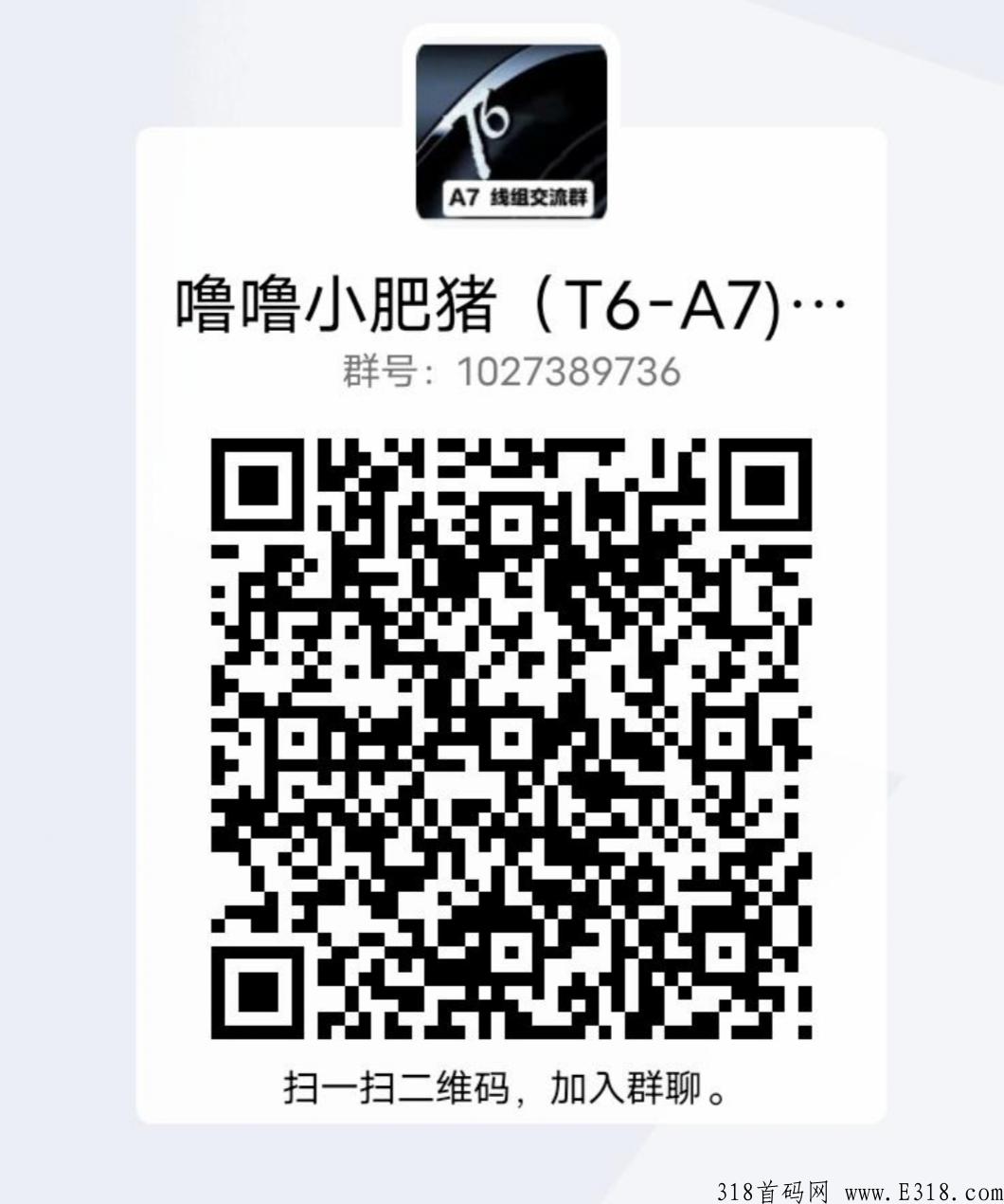 噜噜小肥猪