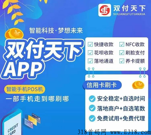 双付天下最新详细介绍（完整版），欢迎各大团队和个人前来对接
