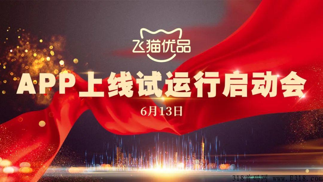 飞猫优品，高额无限代扶持