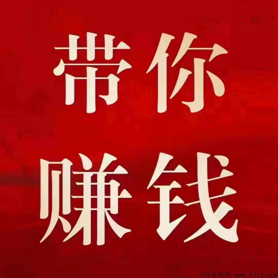 【翰林优商】总部招商一手对接实力团队长，高扶持