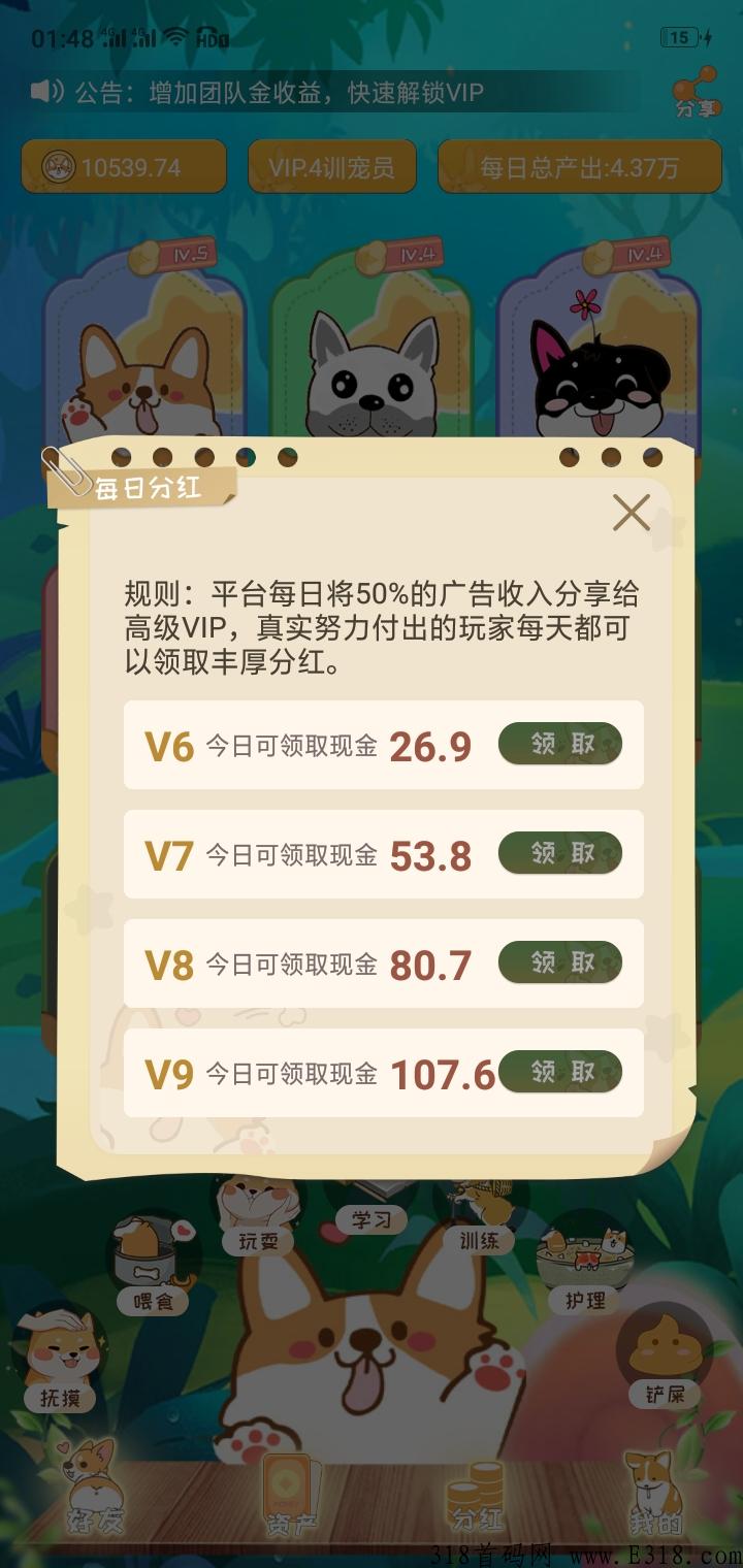 宝贝狗，本月最牛项目，错过这次拍断大腿