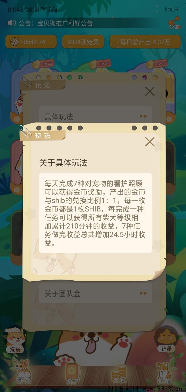 宝贝狗，本月最牛项目，错过这次拍断大腿