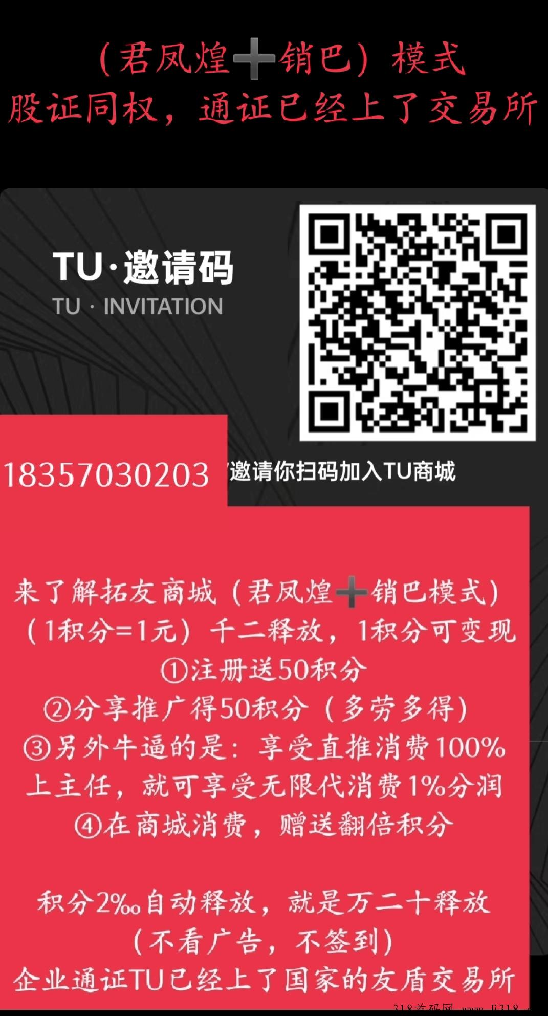 拓友商城是当下最前卫的商业结构，最有价值的通证电商。