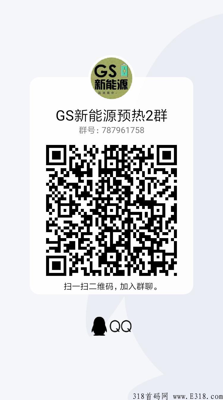 GS新能源，即将正式上线，对接各大团队长，扶持拉满