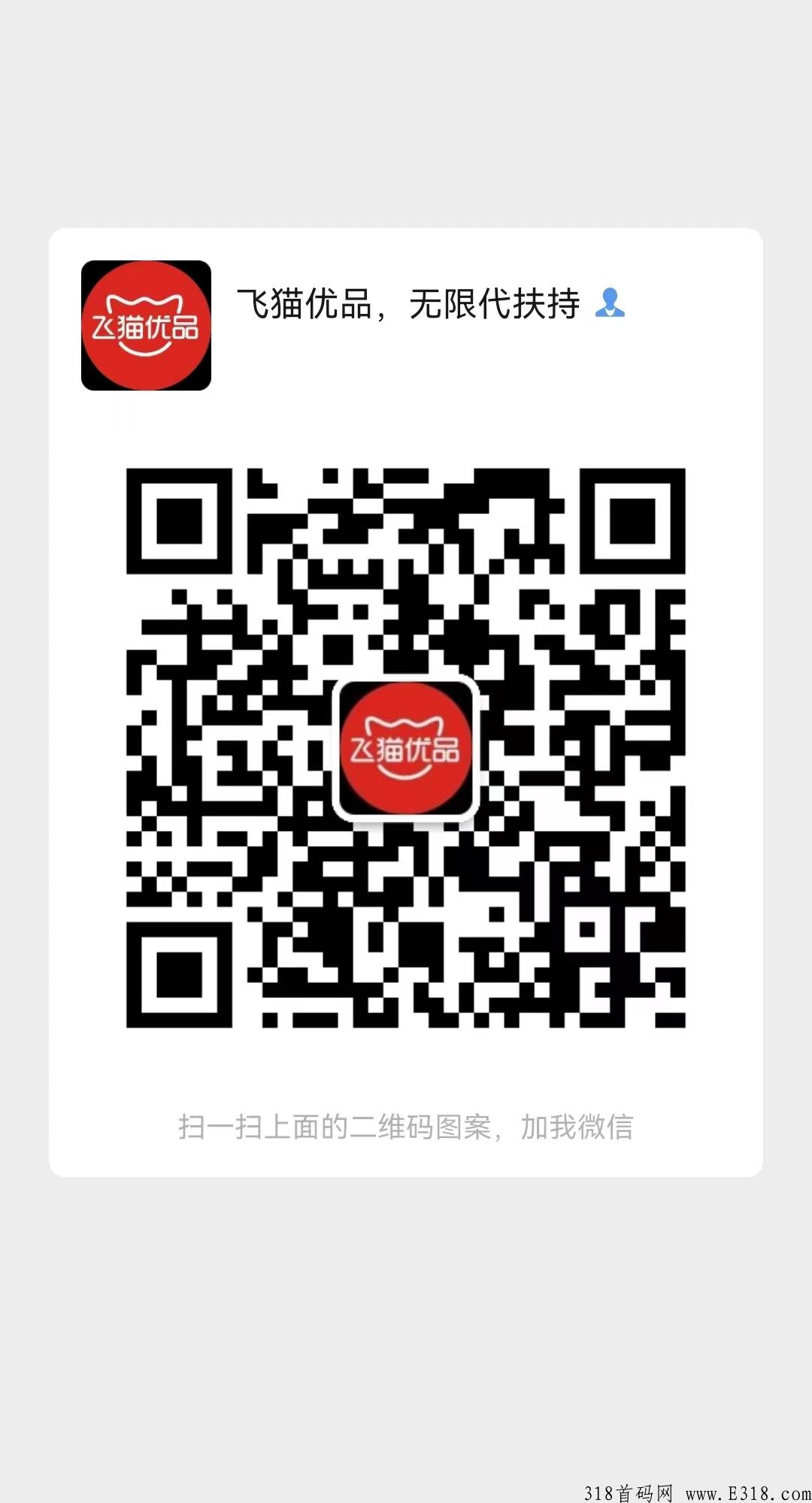 飞猫优品，排线，30000大区兜底