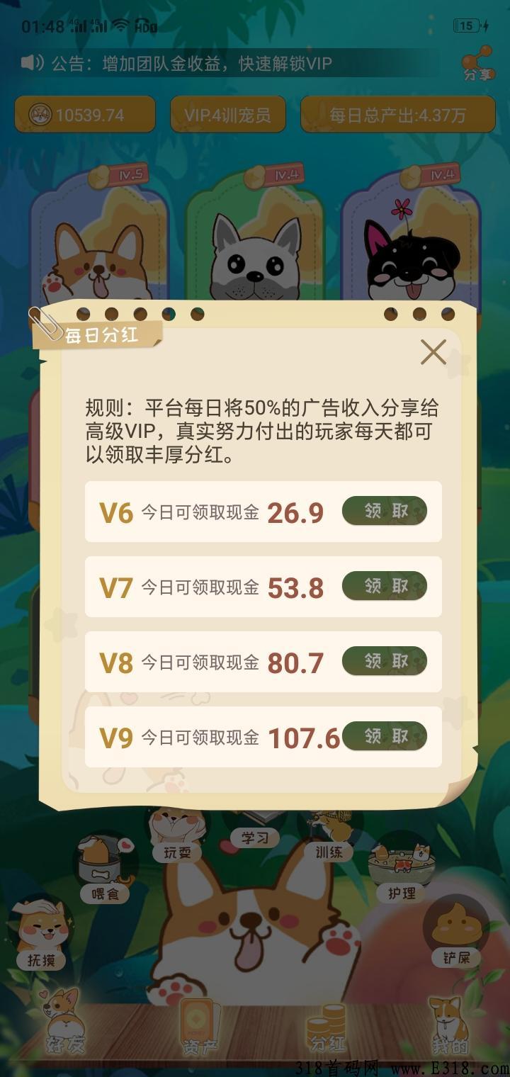 宝贝狗，每天撸米