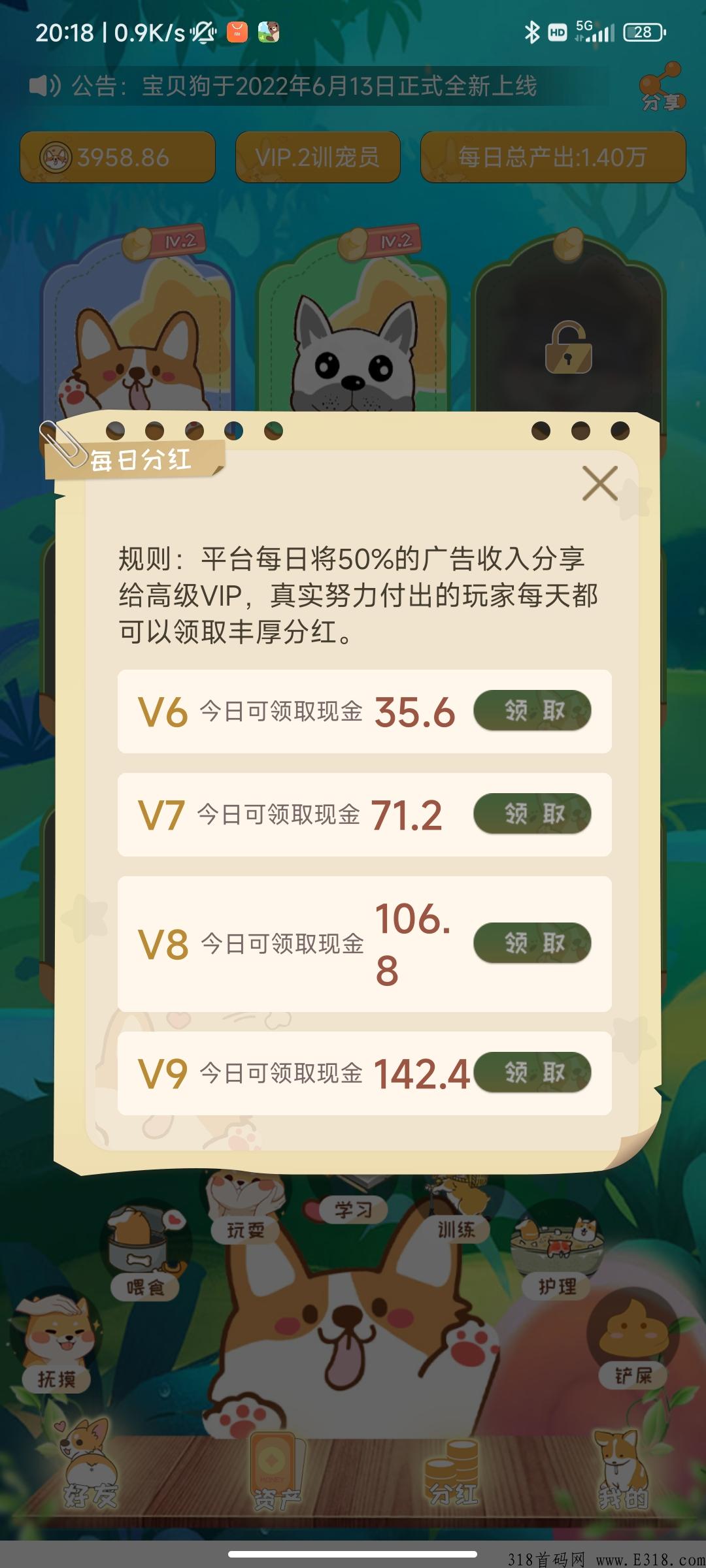 【今日首码】宝贝狗