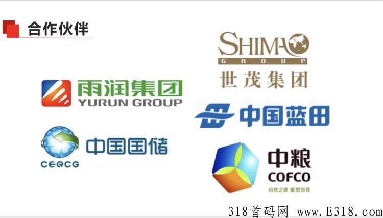人人易购全面信息，最新2.0版本app，怎样赚钱，怎么样？