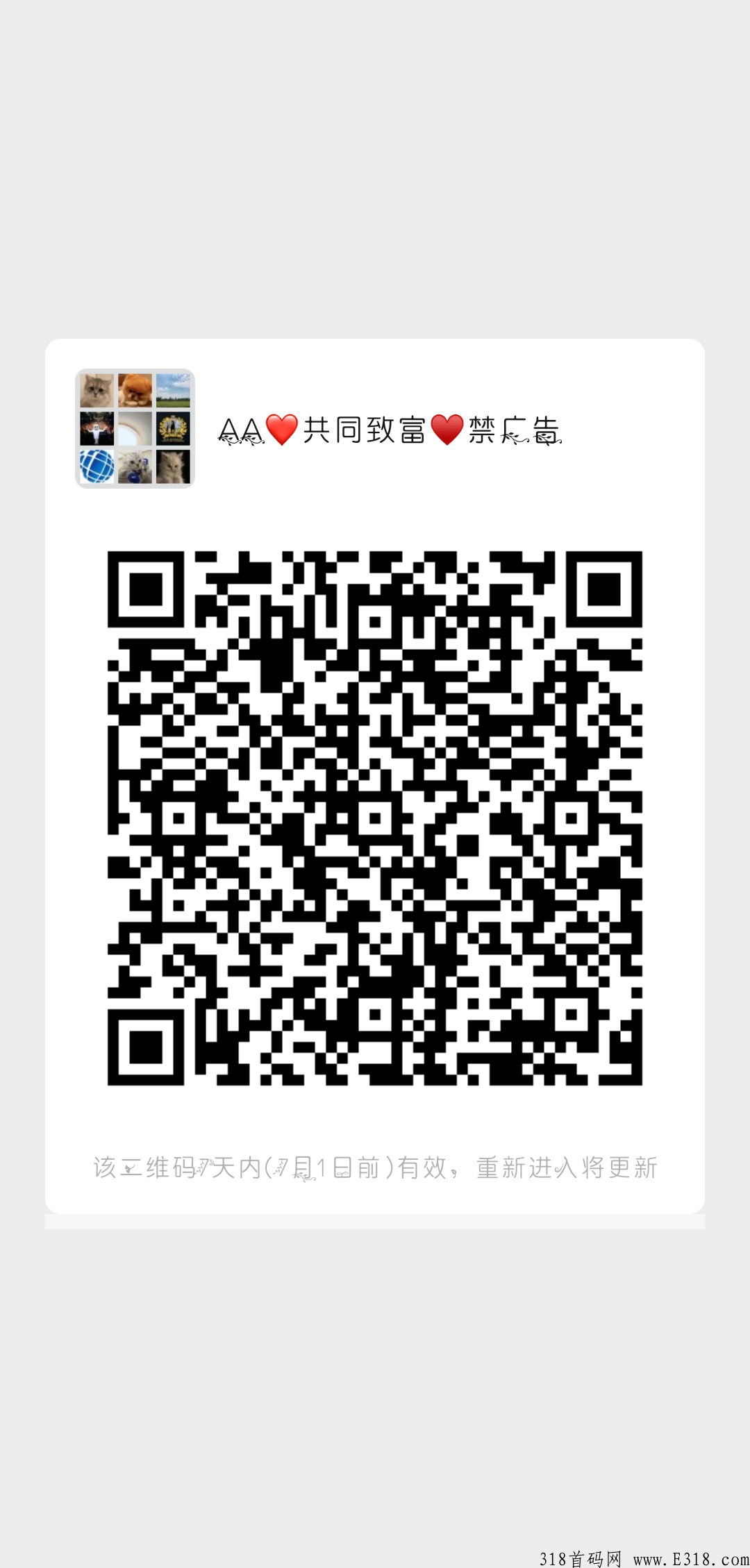 今日首码，众雅天下，参与即赚