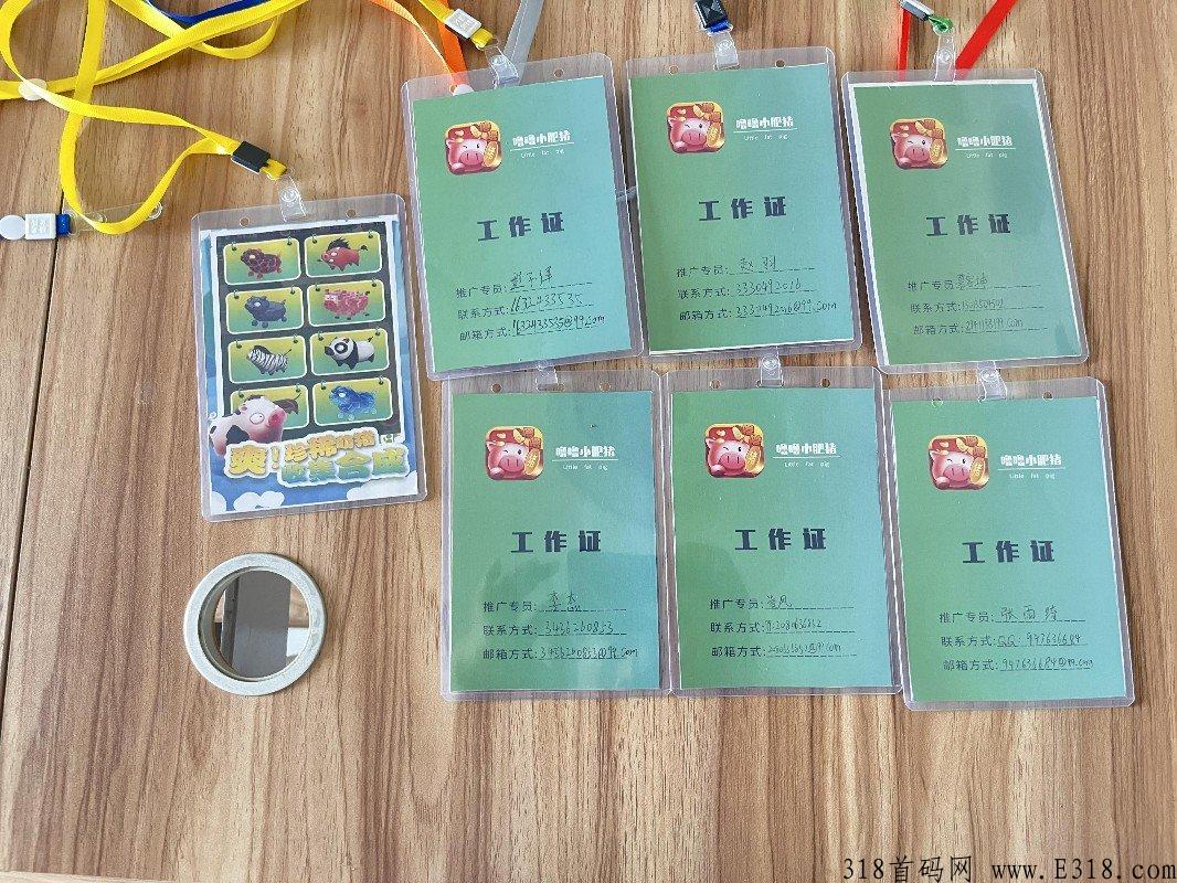 噜噜小肥猪锁粉码，免费拿分奖励猪