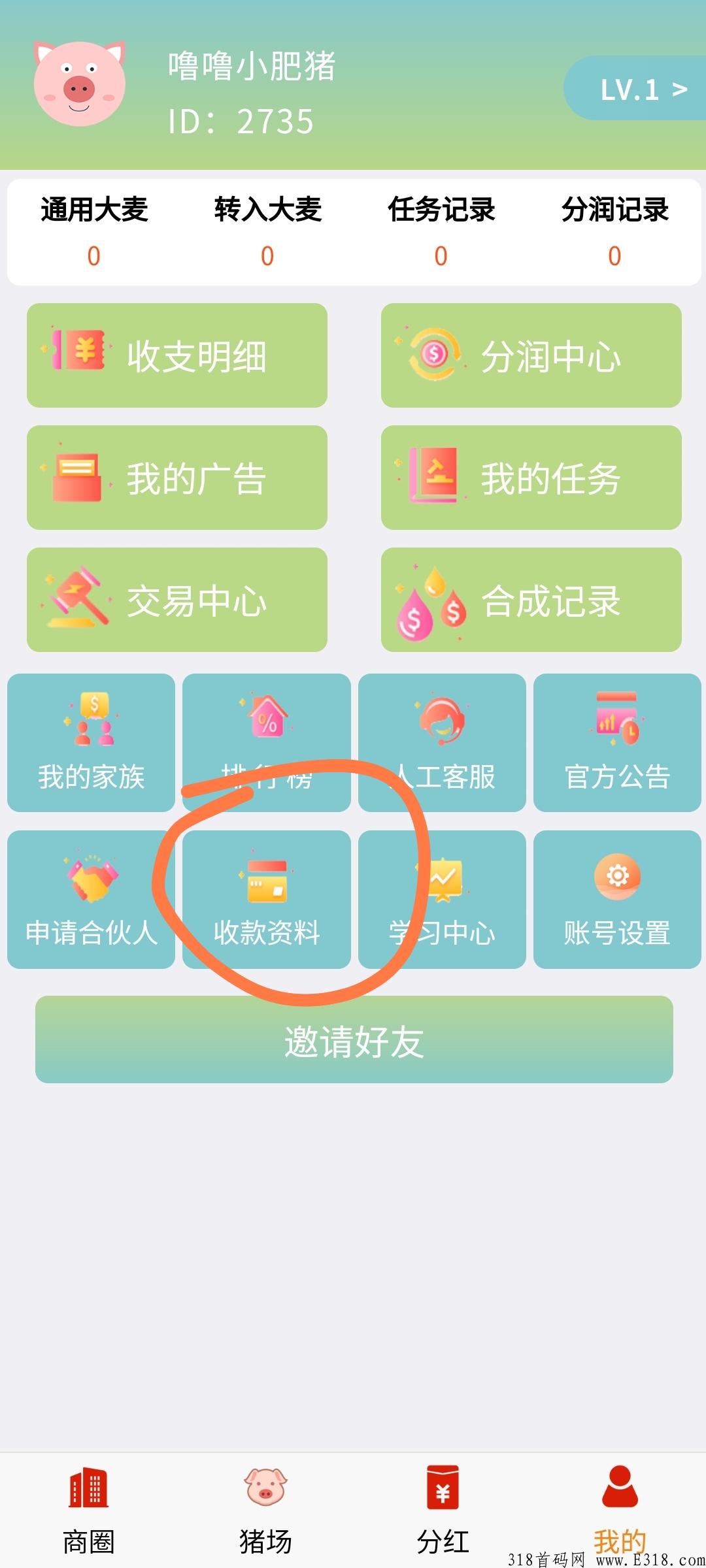 噜噜小肥猪正式上线锁粉，拉一人就送奖励