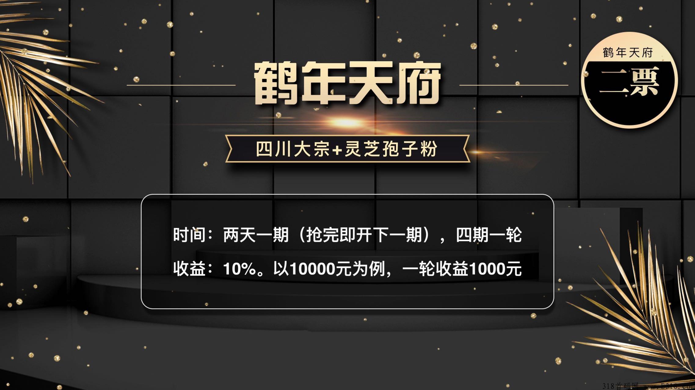 鹤年天府首码对接