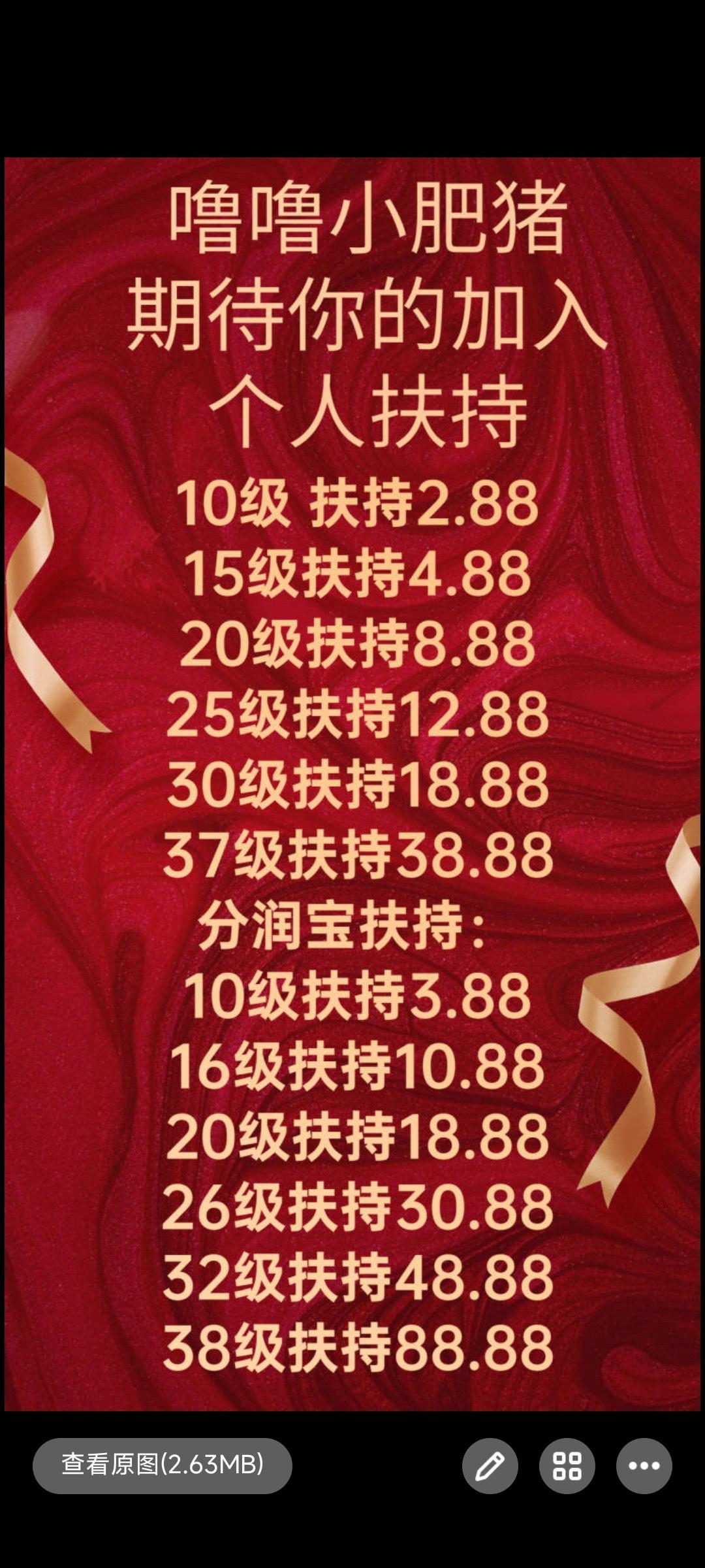 首码噜噜小肥猪，教你赚米