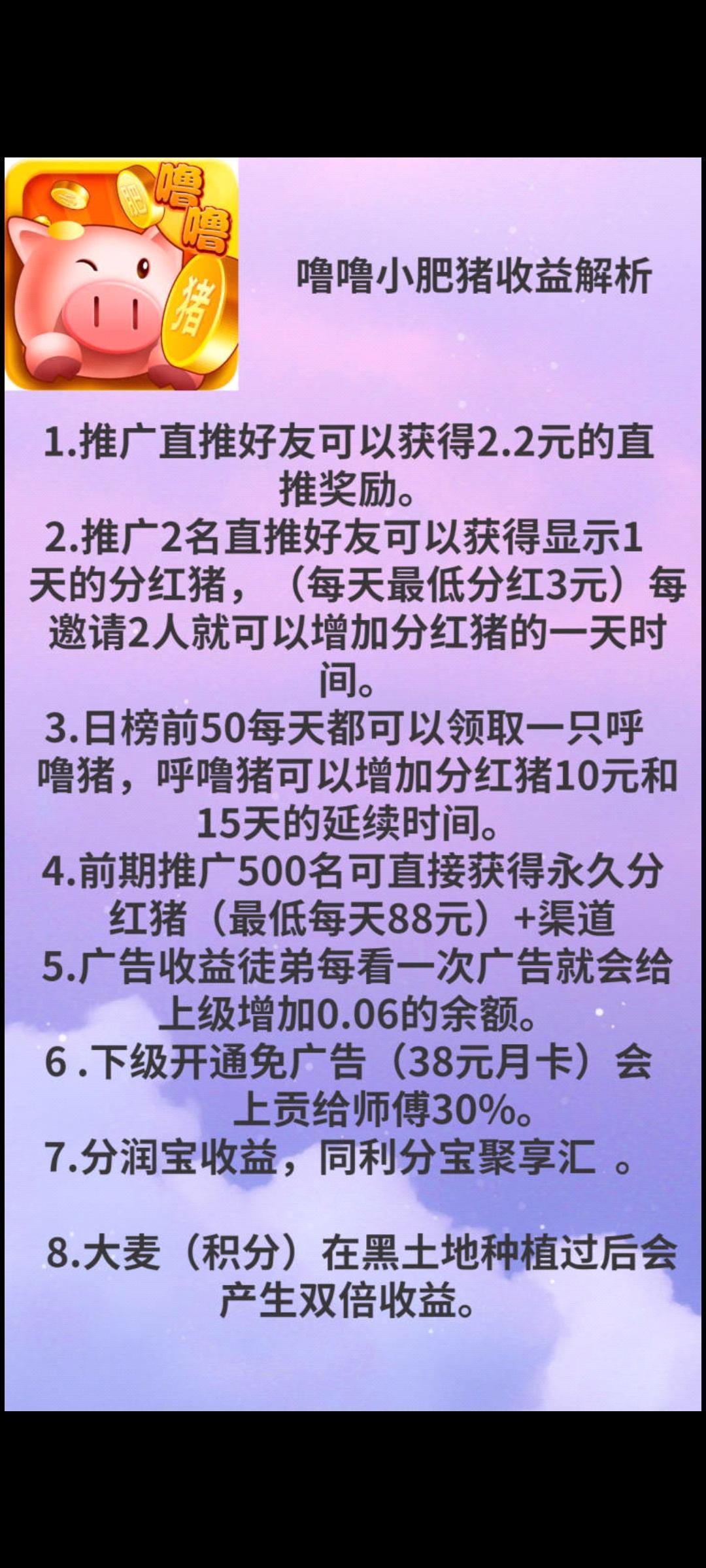 首码噜噜小肥猪，教你赚米